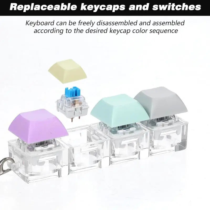 Portable Keyboard Switch Tester | 4 Mechanical Switches with Carabiner Fidget Toy